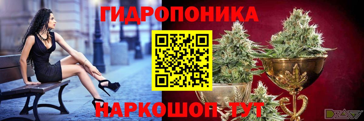Каннабис LSD WEED  Вход с VPN  Бошки марихуана тримм  Канабис семена  Елабуга 